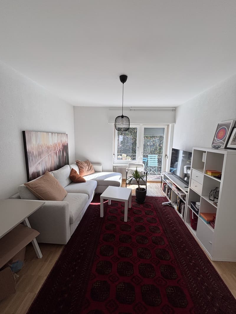 Furnished 2.5 room appartment to sublet for 8 months in Wiedikon (5)
