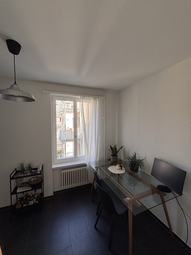 Furnished 2.5 room appartment to sublet for 8 months in Wiedikon (7)