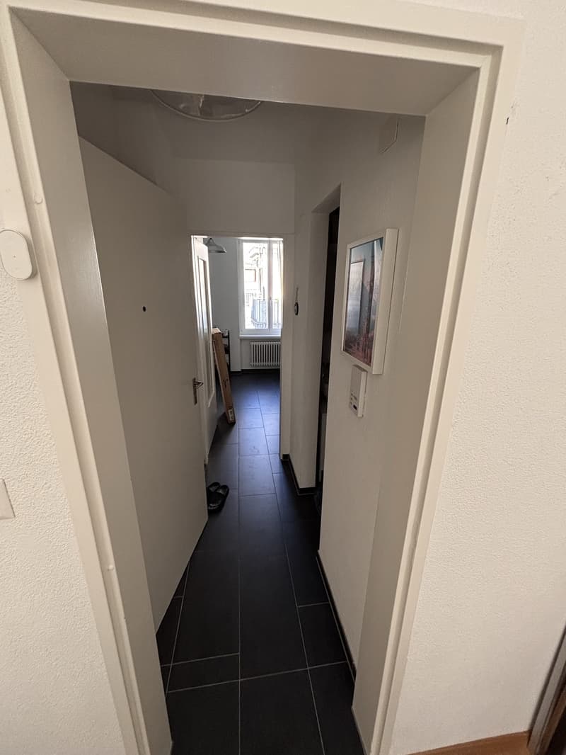 Furnished 2.5 room appartment to sublet for 8 months in Wiedikon (4)