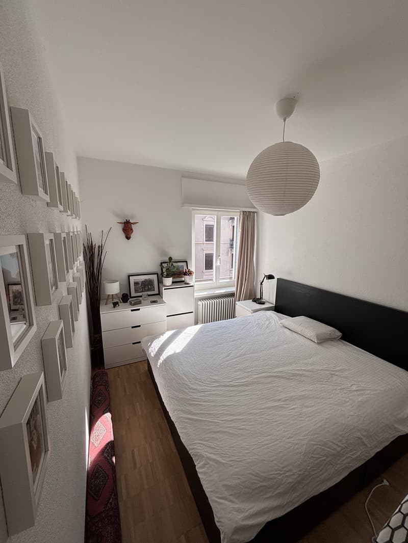 Furnished 2.5 room appartment to sublet for 8 months in Wiedikon (6)