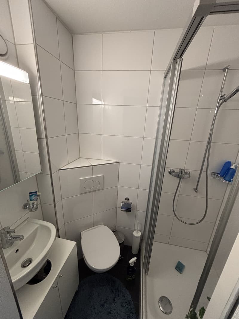 Furnished 2.5 room appartment to sublet for 8 months in Wiedikon (10)