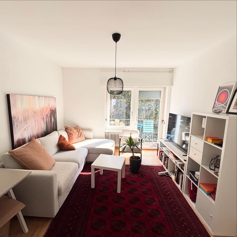 Furnished 2.5 room appartment to sublet for 8 months in Wiedikon (1)