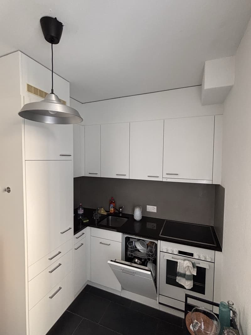 Furnished 2.5 room appartment to sublet for 8 months in Wiedikon (3)