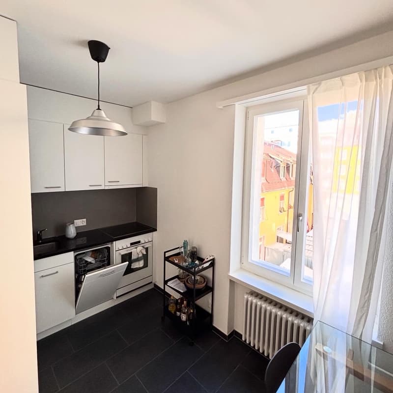 Furnished 2.5 room appartment to sublet for 8 months in Wiedikon (2)