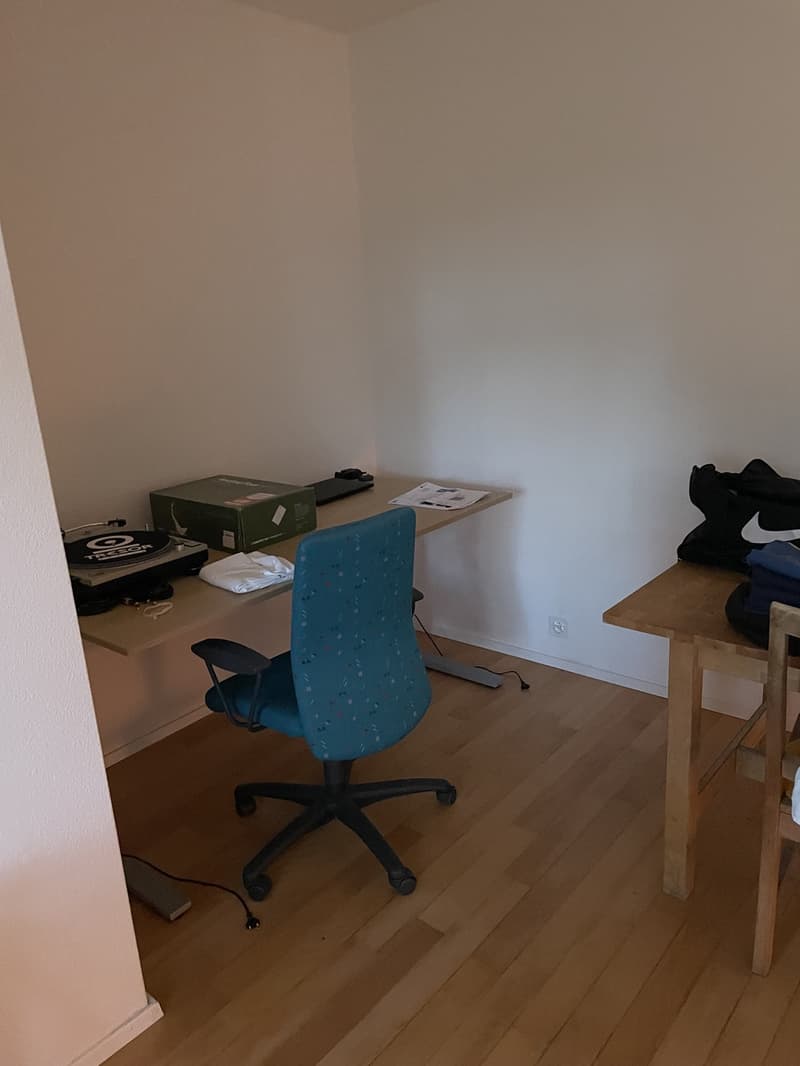Charmante, ruhige 2-Zimmer-Wohnung am Martinsberg in Baden 8 Min. zum Bahnhof (3)