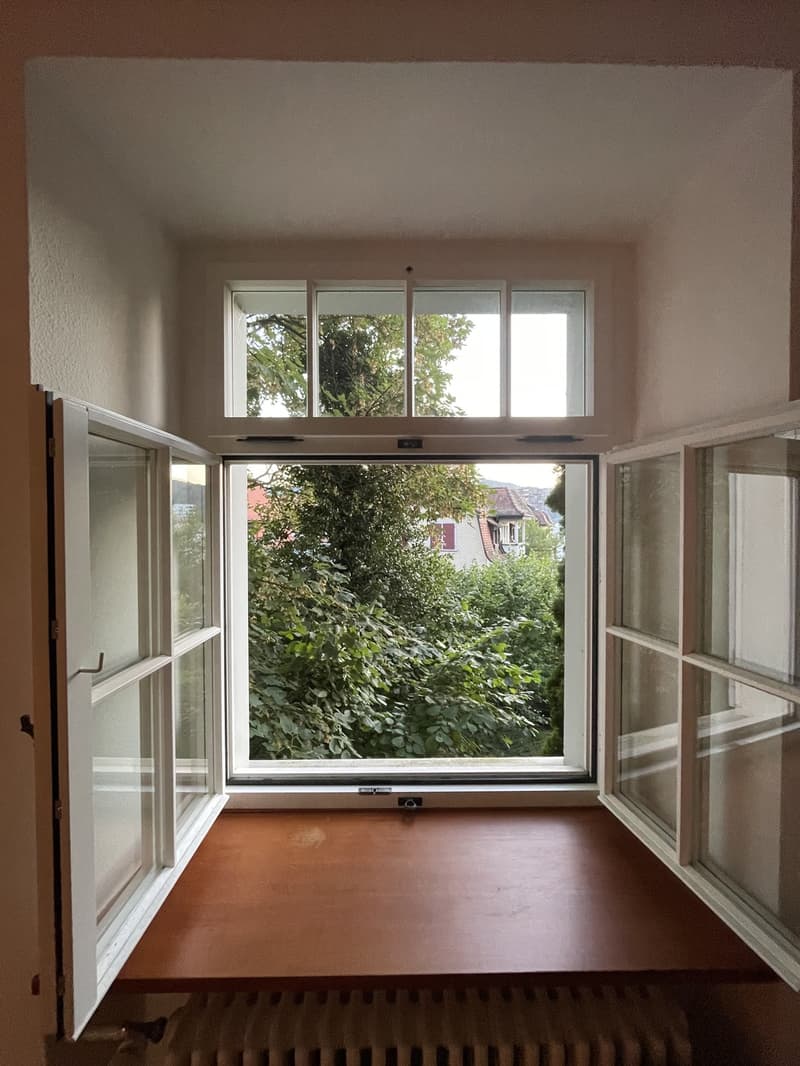 Charmante, ruhige 2-Zimmer-Wohnung am Martinsberg in Baden 8 Min. zum Bahnhof (1)