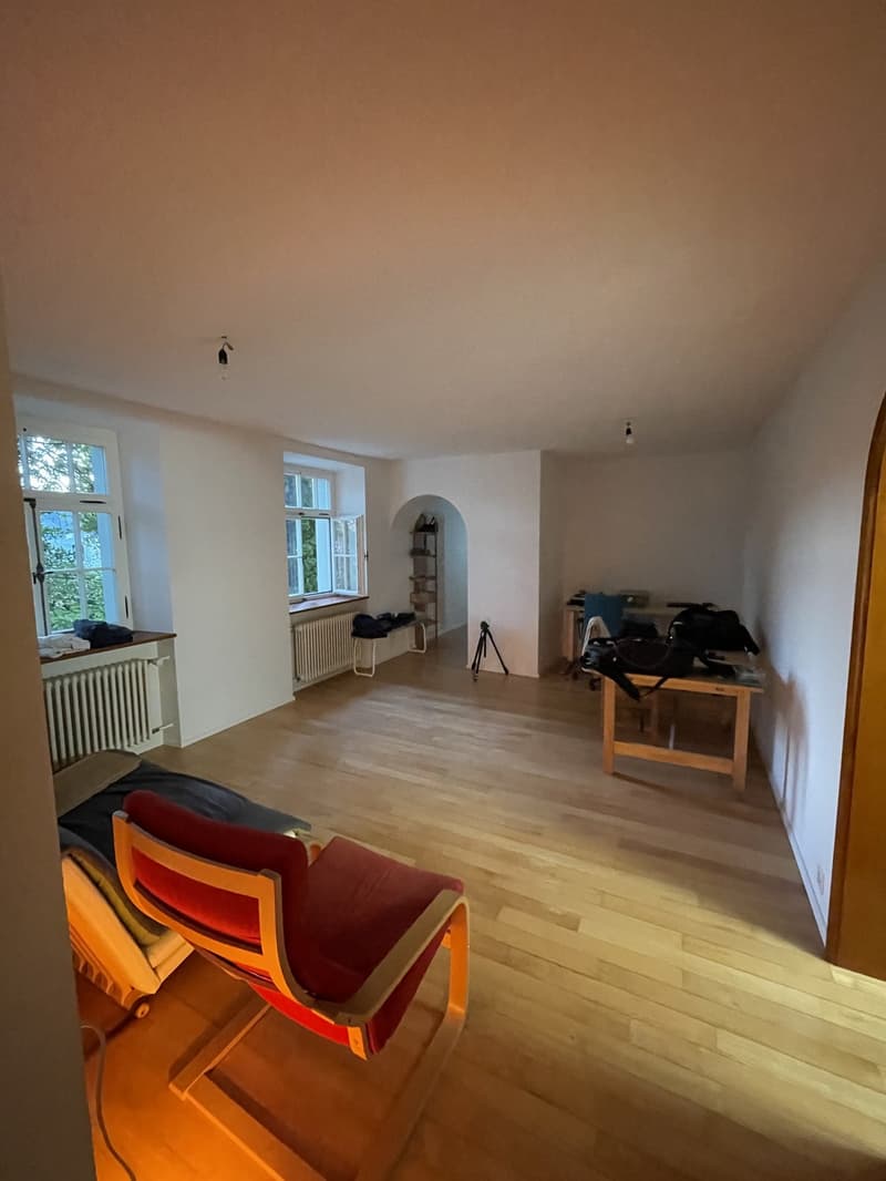Charmante, ruhige 2-Zimmer-Wohnung am Martinsberg in Baden 8 Min. zum Bahnhof (6)