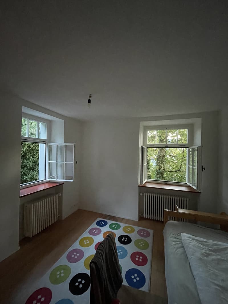 Charmante, ruhige 2-Zimmer-Wohnung am Martinsberg in Baden 8 Min. zum Bahnhof (5)