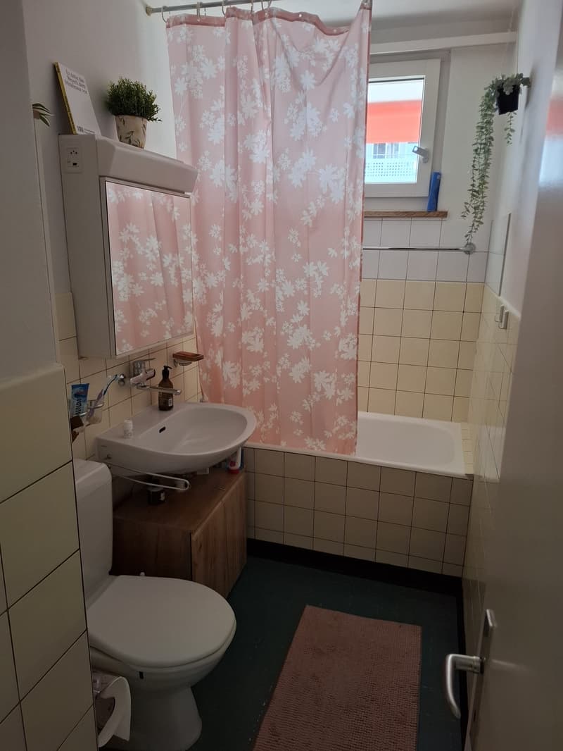 Schöne 2-Zimmer Wohnung zur Untermiete (5)