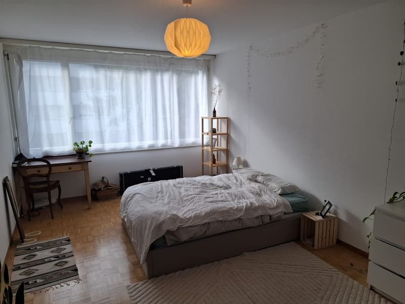 Schöne 2-Zimmer Wohnung zur Untermiete (3)