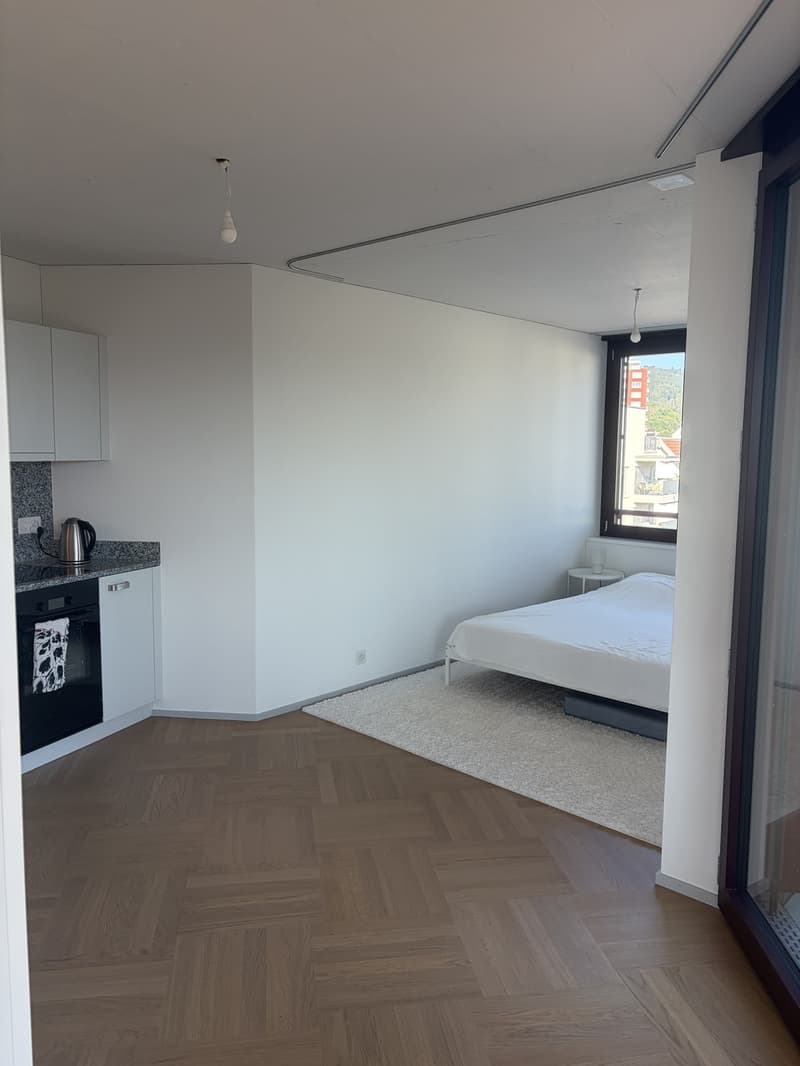 Lichtdurchflutete Neubauwohnung mit Balkon & hochwertiger Ausstattung in Top Lage in Dietikon (9)