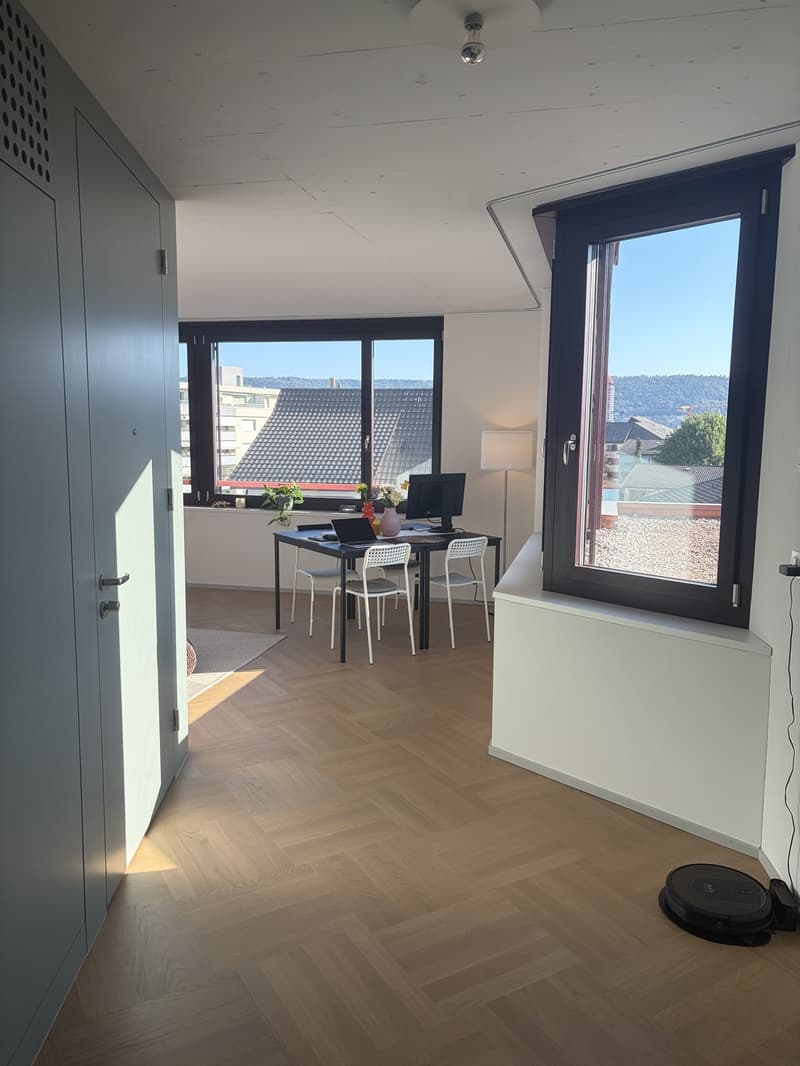 Lichtdurchflutete Neubauwohnung mit Balkon & hochwertiger Ausstattung in Top Lage in Dietikon (7)