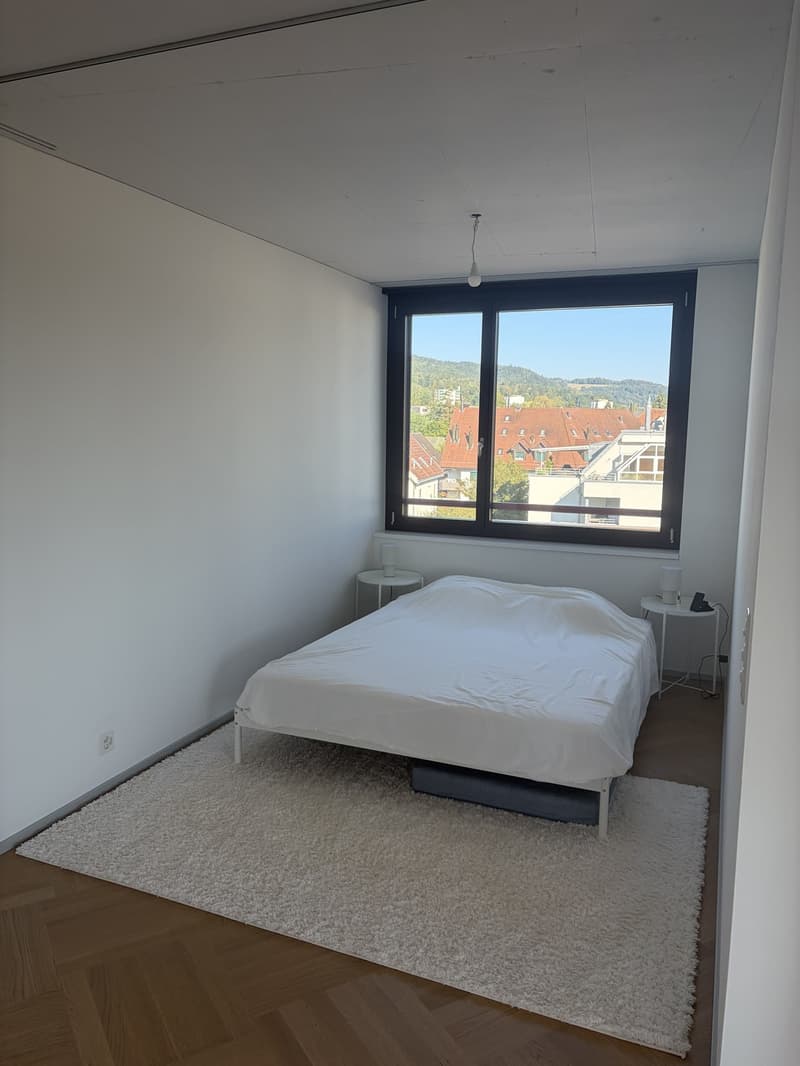 Lichtdurchflutete Neubauwohnung mit Balkon & hochwertiger Ausstattung in Top Lage in Dietikon (4)