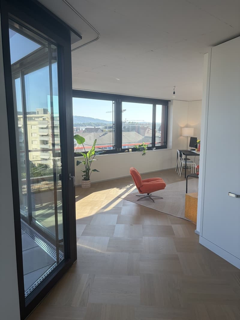 Lichtdurchflutete Neubauwohnung mit Balkon & hochwertiger Ausstattung in Top Lage in Dietikon (8)