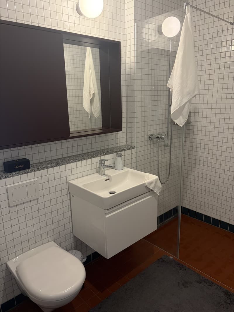 Lichtdurchflutete Neubauwohnung mit Balkon & hochwertiger Ausstattung in Top Lage in Dietikon (5)