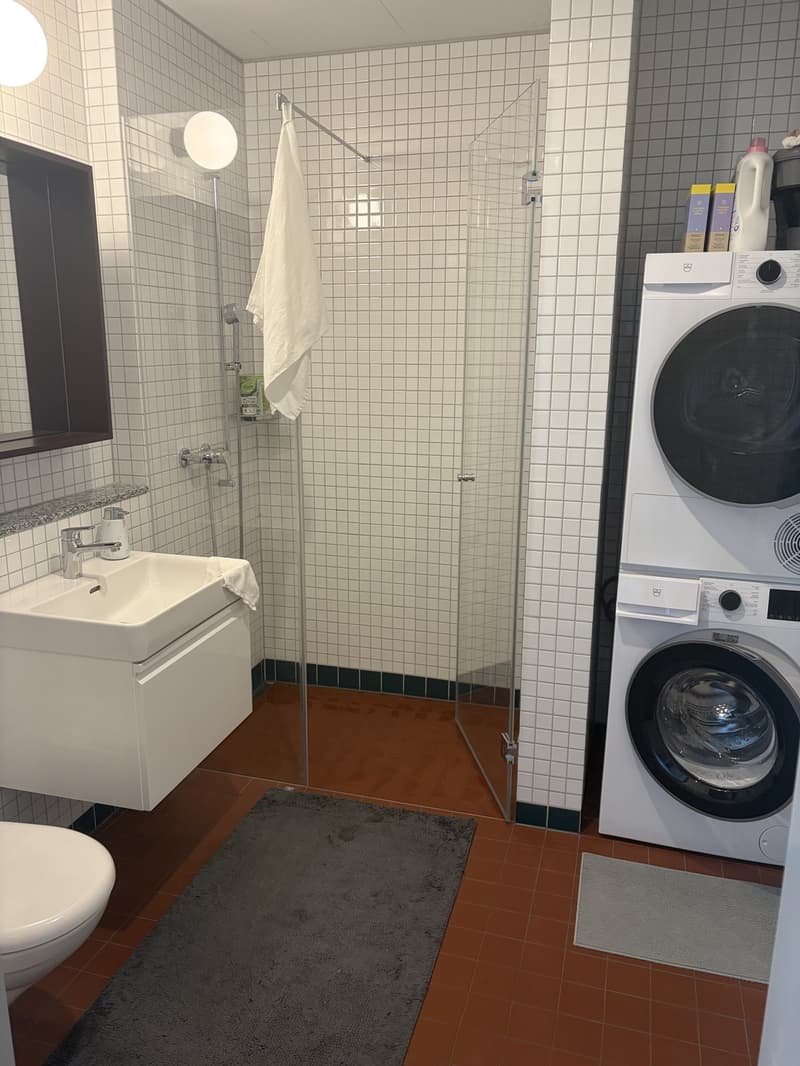 Lichtdurchflutete Neubauwohnung mit Balkon & hochwertiger Ausstattung in Top Lage in Dietikon (6)