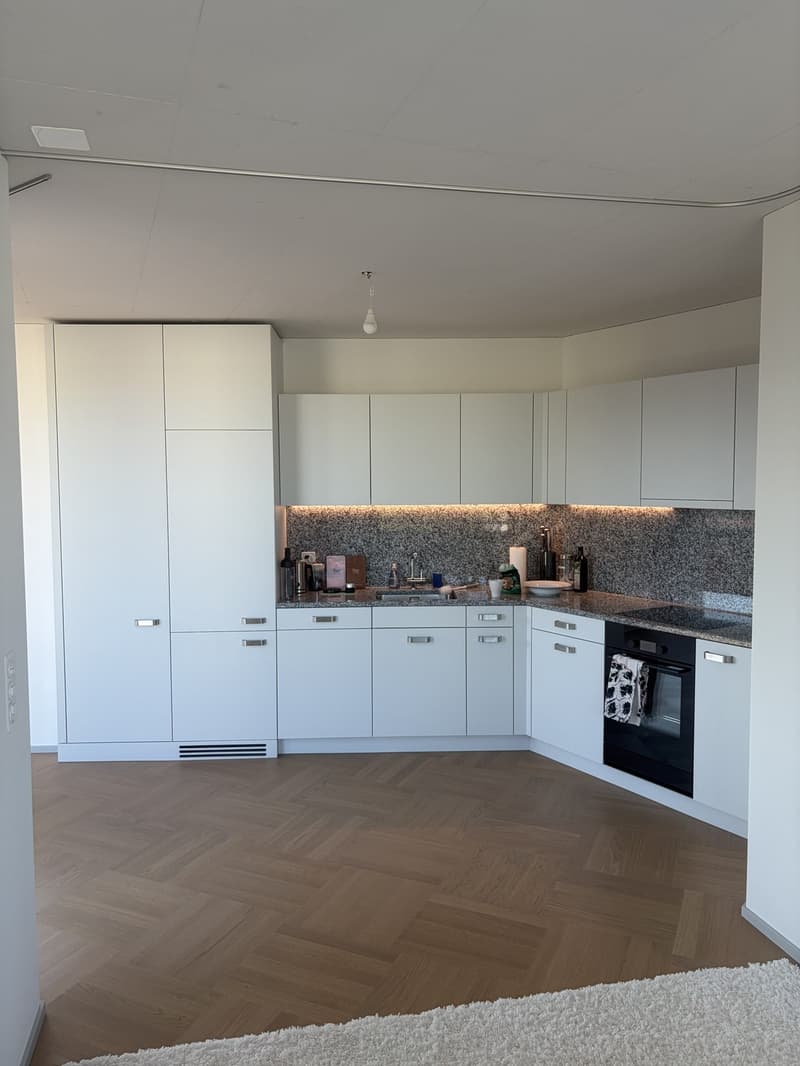Lichtdurchflutete Neubauwohnung mit Balkon & hochwertiger Ausstattung in Top Lage in Dietikon (3)