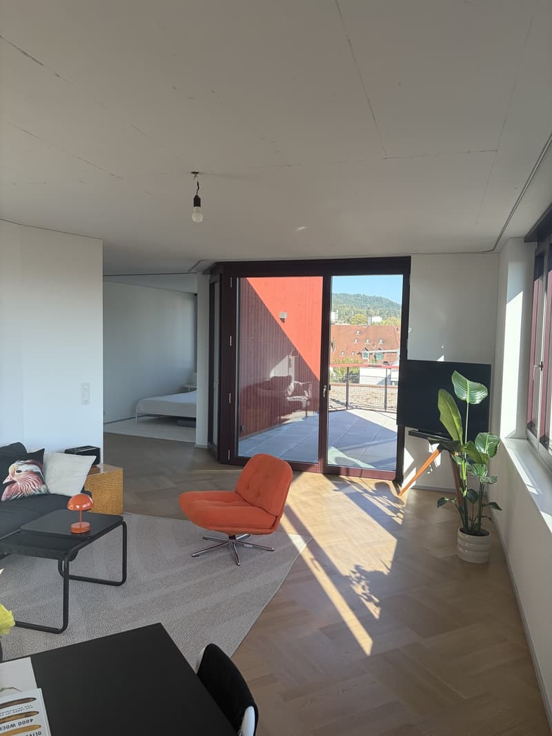 Lichtdurchflutete Neubauwohnung mit Balkon & hochwertiger Ausstattung in Top Lage in Dietikon (2)