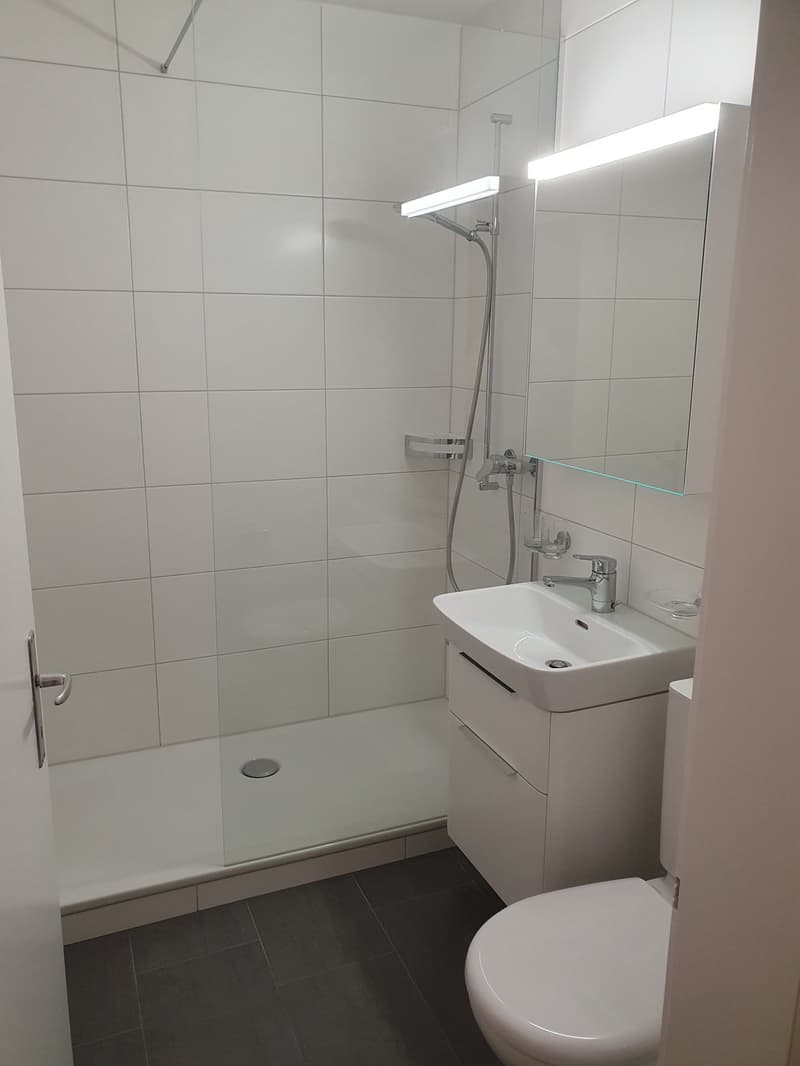 1 Zimmer-Wohnung, 2560 Nidau (4)