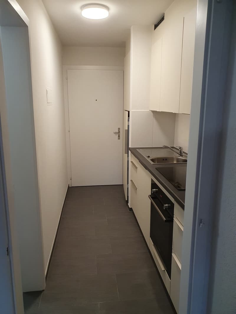 1 Zimmer-Wohnung, 2560 Nidau (1)