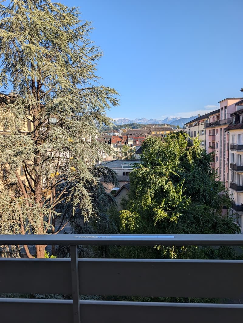 Helles WG-Zimmer im Bruchquartier zentral & mit Wohlfühlfaktor (7)