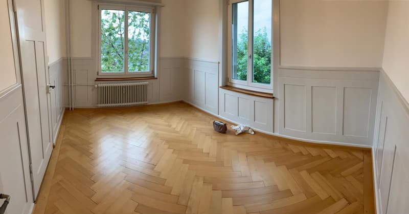 4.5 Zimmerwohnung (3)