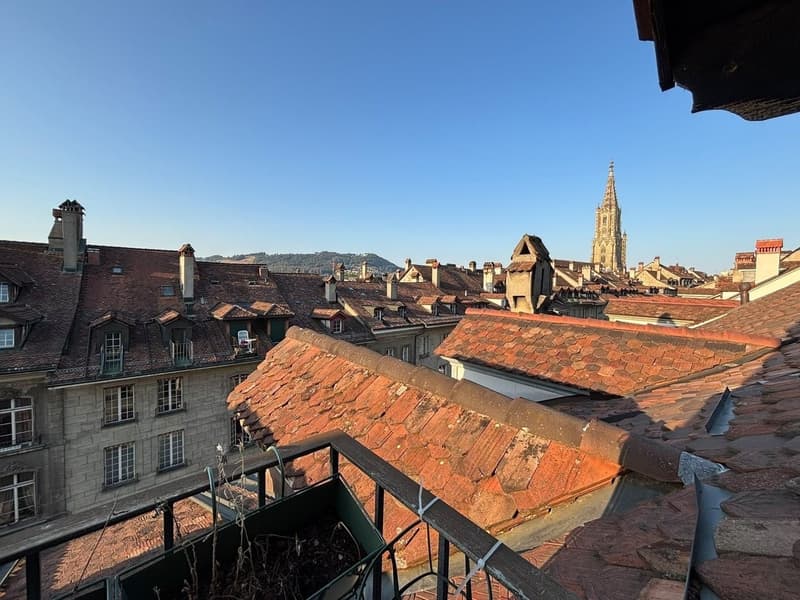 Wunderschöne Wohnung in der Altstadt (5)