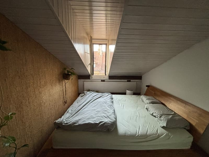 Wunderschöne Wohnung in der Altstadt (3)