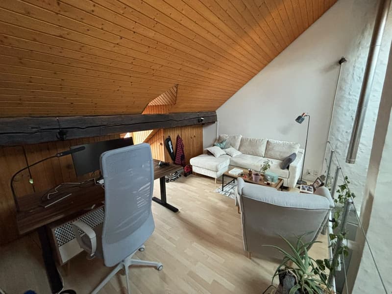 Wunderschöne Wohnung in der Altstadt (4)