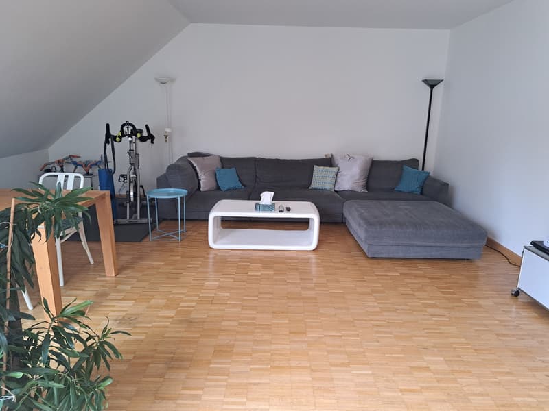 Frick - Nachmieter gesucht (1)