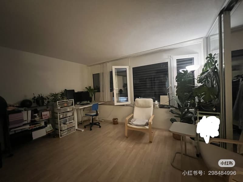 Modern, bright 1.5-room studio with private washer/dryer in Zurich-Seebach (from Sep 1st, 2026) (4)