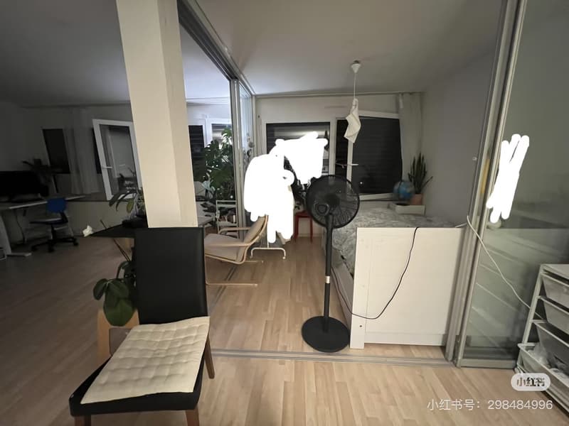 Modern, bright 1.5-room studio with private washer/dryer in Zurich-Seebach (from Sep 1st, 2026) (6)