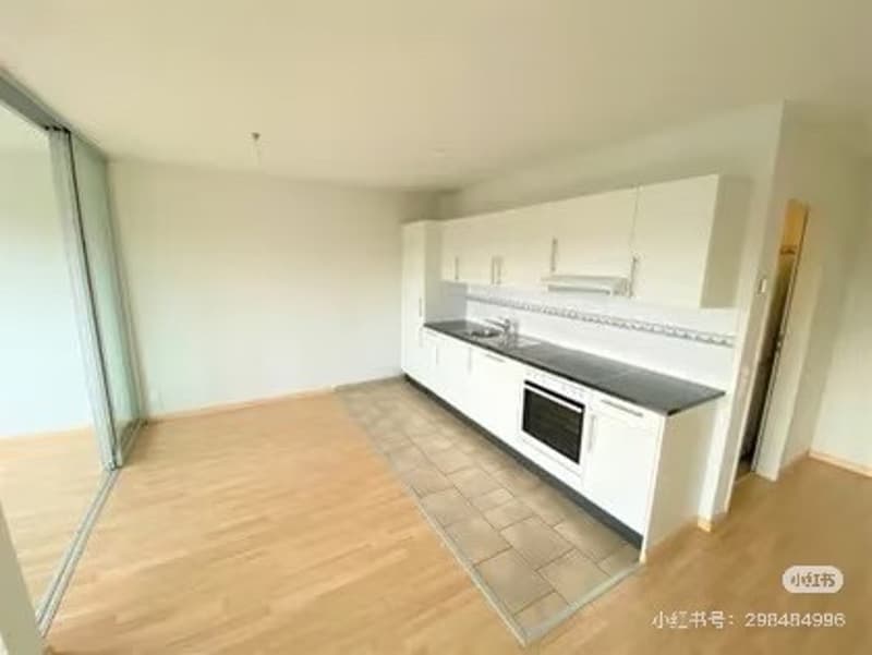 Modern, bright 1.5-room studio with private washer/dryer in Zurich-Seebach (from Sep 1st, 2026) (2)