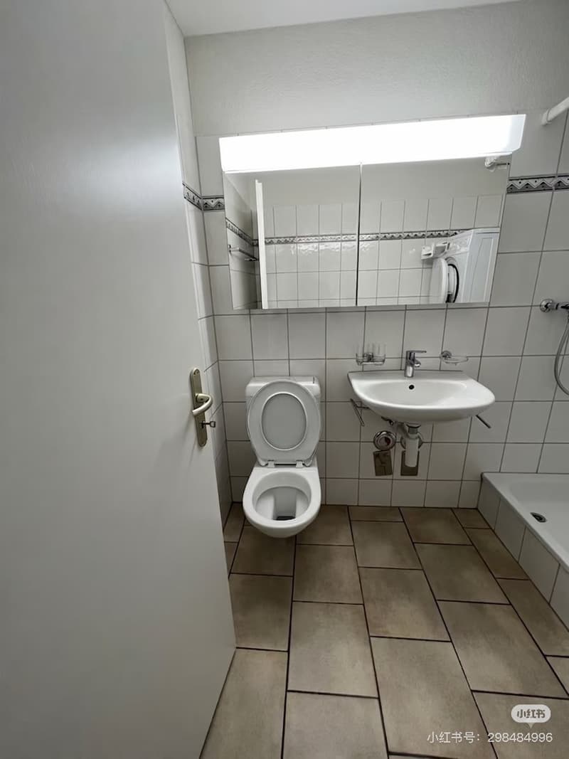 Modern, bright 1.5-room studio with private washer/dryer in Zurich-Seebach (from Sep 1st, 2026) (3)