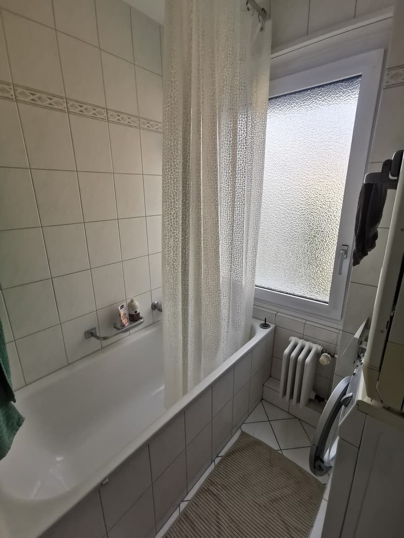 WG Zimmer 10 m² in 2-er WG in ruhiger Lage am Stadtrand von Rapperswi (10)