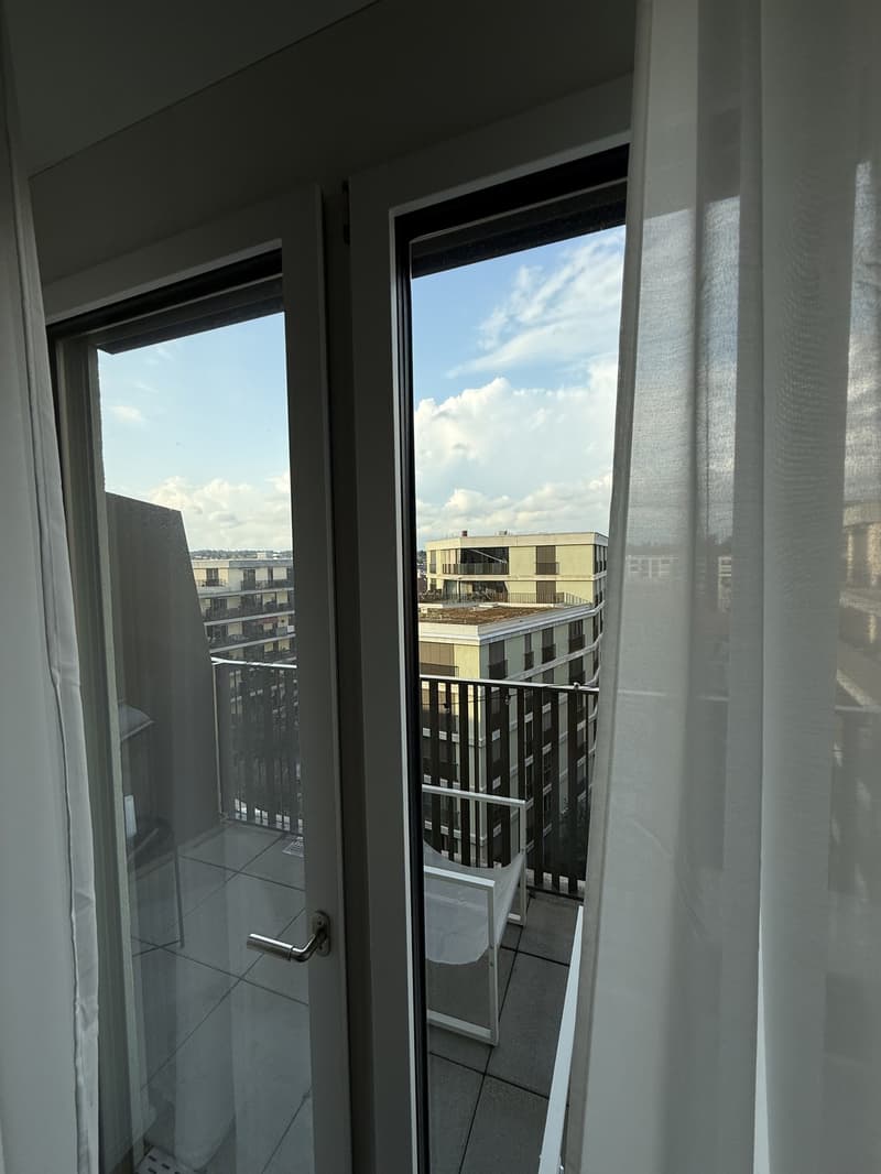 Modern 1.5-Room Apartment in Dübendorf  Available from Mid-September (3)