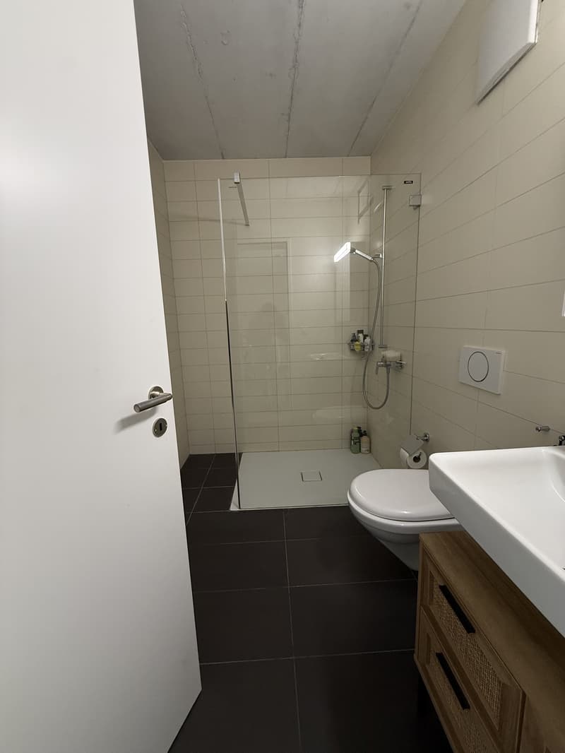 Modern 1.5-Room Apartment in Dübendorf  Available from Mid-September (4)