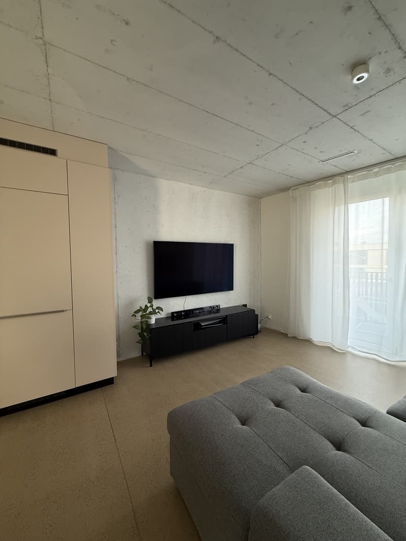 Modern 1.5-Room Apartment in Dübendorf  Available from Mid-September (2)
