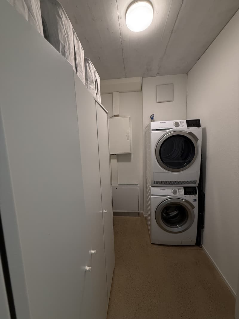 Modern 1.5-Room Apartment in Dübendorf  Available from Mid-September (5)