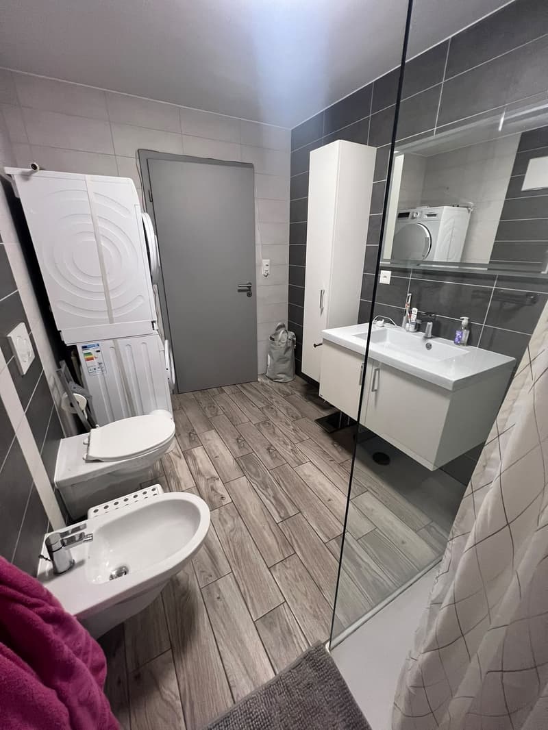 Appartement 4,5 pièces à louer (11)