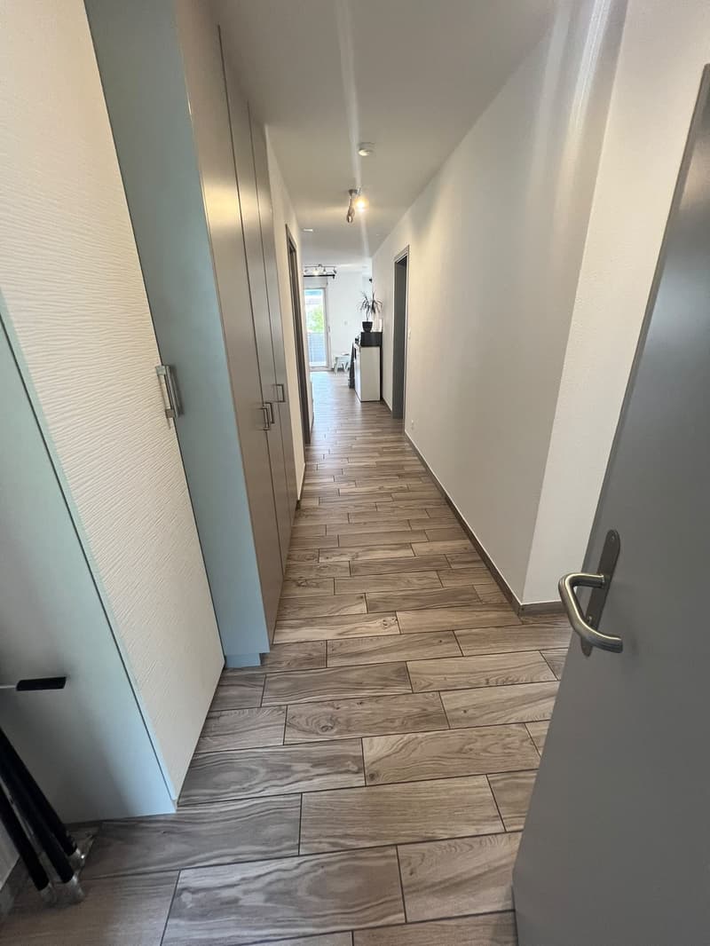 Appartement 4,5 pièces à louer (4)
