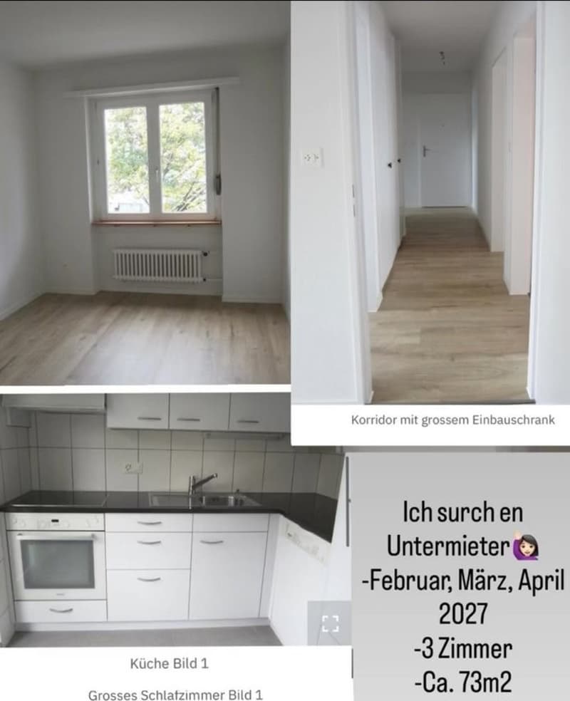 Untermieter Gesucht (1)