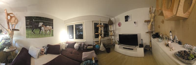2 Zimmer-Wohnung, 5313 Klingnau (4)
