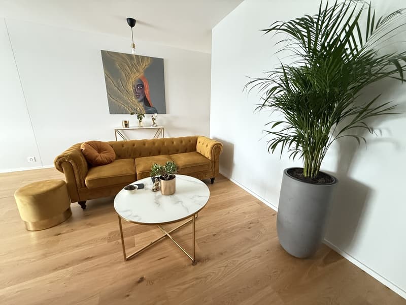 Temporary 2.5-room apartment with lake view in Horgen Oberdorf (1)