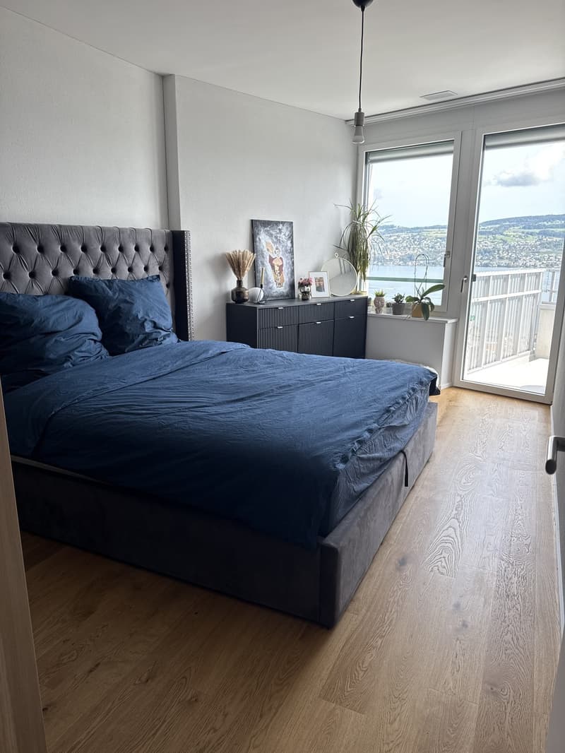 Temporary 2.5-room apartment with lake view in Horgen Oberdorf (4)