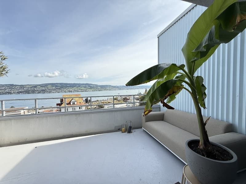 Temporary 2.5-room apartment with lake view in Horgen Oberdorf (7)