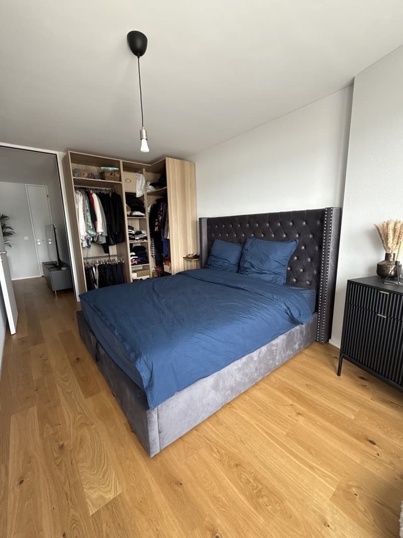 Temporary 2.5-room apartment with lake view in Horgen Oberdorf (5)