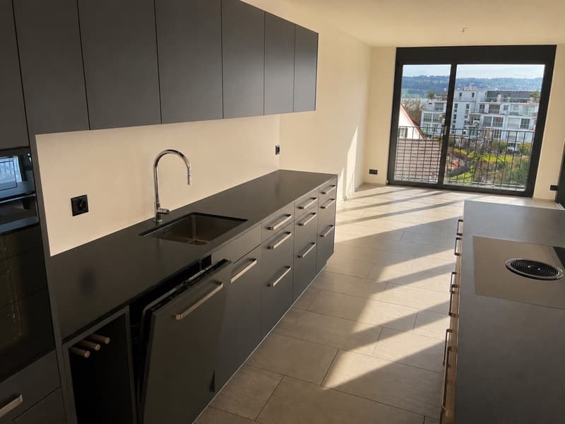Corner flat with unobstructed lake view and large outdoor space (2)
