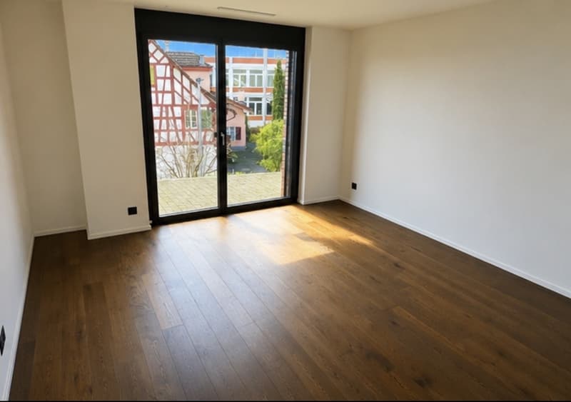 Corner flat with unobstructed lake view and large outdoor space (9)