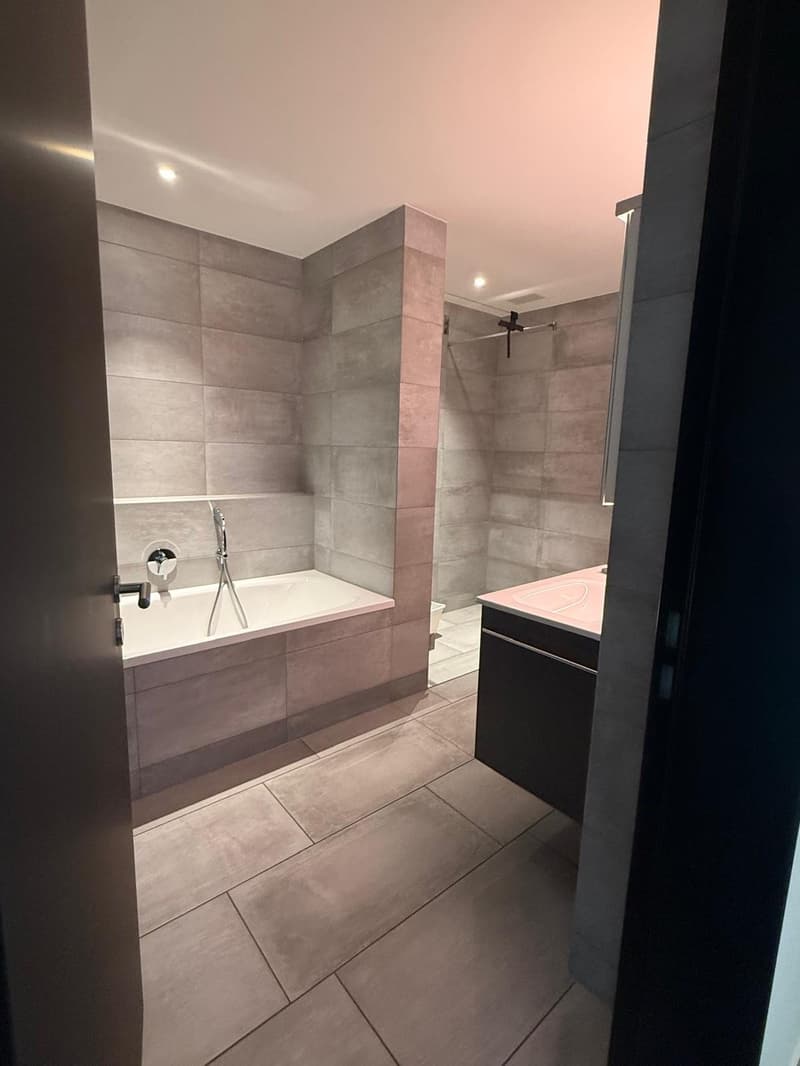 Corner flat with unobstructed lake view and large outdoor space (13)
